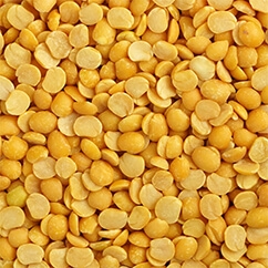 Split Pigeon Pea10 42