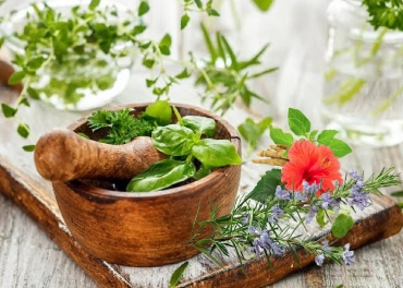 herbs