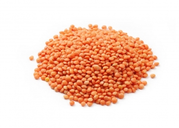 masoor dal