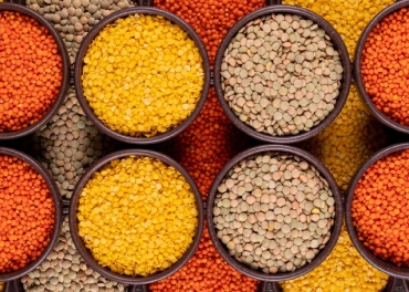 pulses 1