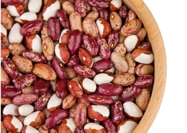 rajma all varities