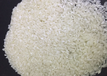 swarna rice